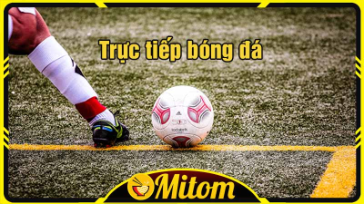 Mitom1.site - Kênh trực tiếp bóng đá đỉnh cao